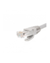 Netrack patchcord RJ45, osłonka zalewana, kat 5e UTP, 0.25m szary - nr 9