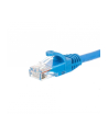 Netrack patchcord RJ45, osłonka zalewana, kat 5e UTP, 0.25m niebieski - nr 8