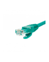 Netrack patchcord RJ45, osłonka zalewana, kat 5e UTP, 0.25m zielony - nr 9