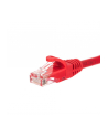 Netrack patchcord RJ45, osłonka zalewana, kat. 5e UTP, 0.5m czerwony - nr 8