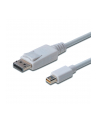 Kabel DisplayPort 1.1a mini DP-DP M/M 1.0m - nr 20