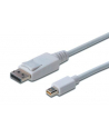 Kabel DisplayPort 1.1a mini DP-DP M/M 1.0m - nr 21