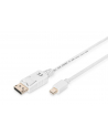 Kabel DisplayPort 1.1a mini DP-DP M/M 1.0m - nr 22