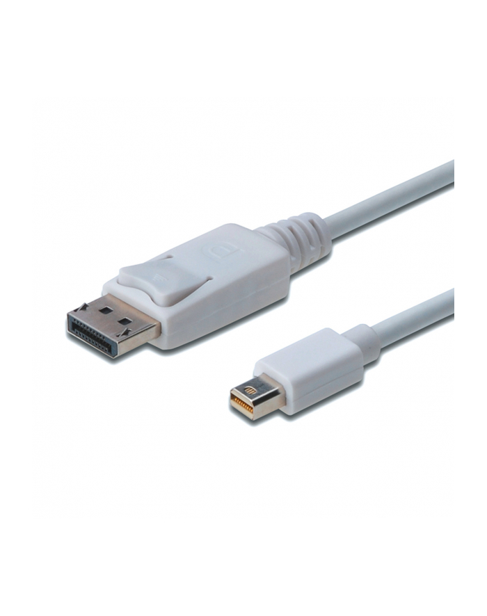 Kabel DisplayPort 1.1a mini DP-DP M/M 1.0m główny