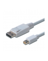 Kabel DisplayPort 1.1a mini DP-DP M/M 2.0m - nr 22