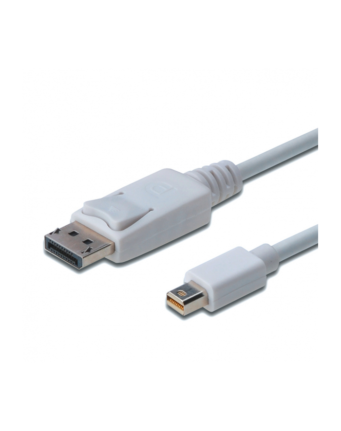 Kabel DisplayPort 1.1a mini DP-DP M/M 2.0m główny