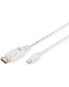 Kabel DisplayPort 1.1a mini DP-DP M/M 2.0m - nr 27