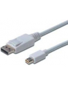 Kabel DisplayPort 1.1a mini DP-DP M/M 2.0m - nr 33