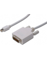 Kabel DisplayPort 1.1a mini DP-DVI TypA MM 3.0m - nr 11
