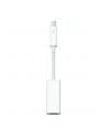 Thunderbolt to FireWire Adapter MD464ZM/A - nr 12