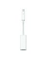 Thunderbolt to FireWire Adapter MD464ZM/A - nr 24