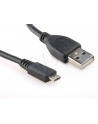 GEMBIRD Kabel USB 2.0 A-Micro B  0,5m (czarny) - nr 1