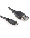 GEMBIRD Kabel USB 2.0 A-Micro B  0,5m (czarny) - nr 2