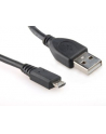 GEMBIRD Kabel USB 2.0 A-Micro B  0,5m (czarny) - nr 6