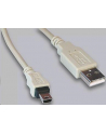 GEMBIRD Kabel USB 2.0 A-Mini B przedłużacz 1,8m - nr 5