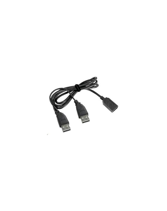 GEMBIRD Kabel USB 2.0 A-A 1m DUAL (dodatkowe zasilanie) główny