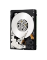 IBM HDD Express 600GB 10K SFF SAS - nr 16
