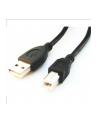 GEMBIRD Kabel USB 2.0 A-B 3m Premium (czarny, ferrytowe, pozłacane styki) - nr 4