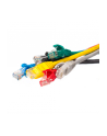 Netrack kabel krosowy RJ45, osłonka zalewana, kat. 5e UTP, 1m czerwony - nr 12