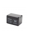 Gembird akumulator uniwersalny 12V/12AH - nr 16