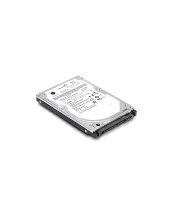 IBM HDD Express 300GB 15K 6Gbps SAS 3.5'' Hot Swap HDD (44W2234)