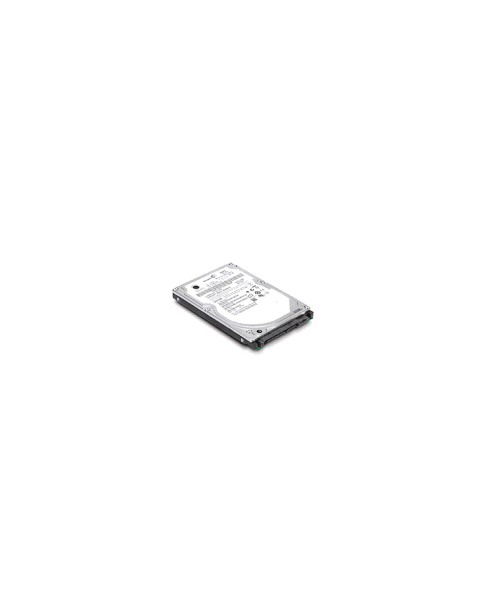 IBM HDD Express 300GB 15K 6Gbps SAS 3.5'' Hot Swap HDD (44W2234) główny
