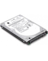 IBM HDD Express 300GB 15K 6Gbps SAS 3.5'' Hot Swap HDD (44W2234) - nr 3