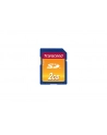 Transcend karta pamięci SecureDigital 2048MB - nr 24