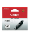 Wkład atramentowy Canon CLI551GY grey | seria 550/551 - nr 13