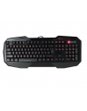 Natec Klawiatura GENESIS RX33 GAMING Illuminated Black USB - nr 8