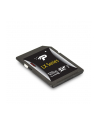 Patriot karta pamięci SDXC LX series UHS-I  128GB  Class 10 - nr 10