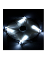 WENTYLATOR AEROCOOL MASTER WHITE LED - 200x200x20mm - nr 10