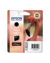 Tusz Epson T0871 photo black Retail Pack BLISTER | Stylus Photo R1900 - nr 14