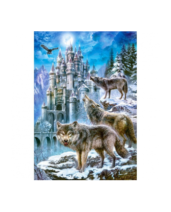 CASTOR 1500 EL. Wilki i Zamek