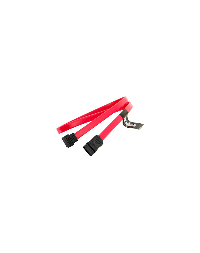 4World HDD Cable | SATA 3 | SATA to Right Angle SATA Serial ATA Cable | 452,2mm główny