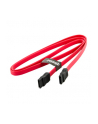 4World HDD Cable | SATA 3 | SATA Serial ATA Cable | 914,4mm| red - nr 2