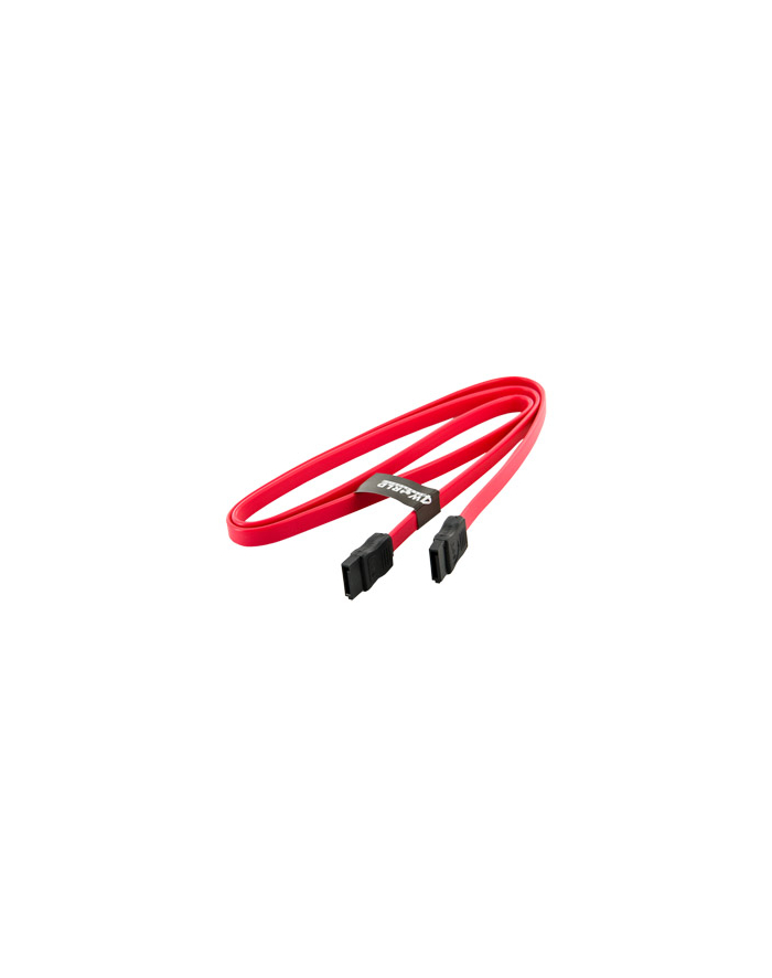 4World HDD Cable | SATA 3 | SATA Serial ATA Cable | 914,4mm| red główny