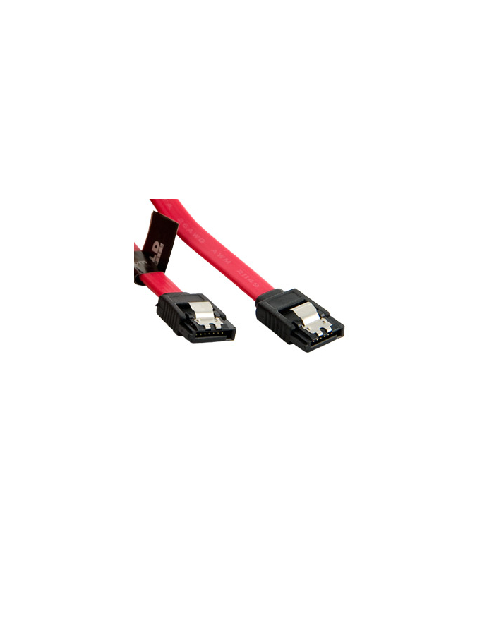 4World HDD Cable | SATA 3 | SATA-SATA | 203,2mm | red główny