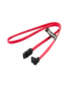 4World HDD Cable | SATA 3 | SATA-SATA Serial ATA | 609,6mm | left | red - nr 1