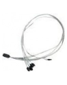ADAPTEC kabel ACK-I-HDmSAS-4SATA-SB 0.8M - nr 28