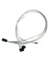 ADAPTEC kabel ACK-I-HDmSAS-4SATA-SB 0.8M - nr 29