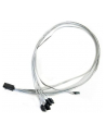 ADAPTEC kabel ACK-I-HDmSAS-4SATA-SB 0.8M - nr 22