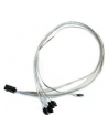 ADAPTEC kabel ACK-I-HDmSAS-4SATA-SB 0.8M - nr 27