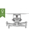 UCHWYT DO PROJEKTORA TECHMOUNT TM-CC - nr 11