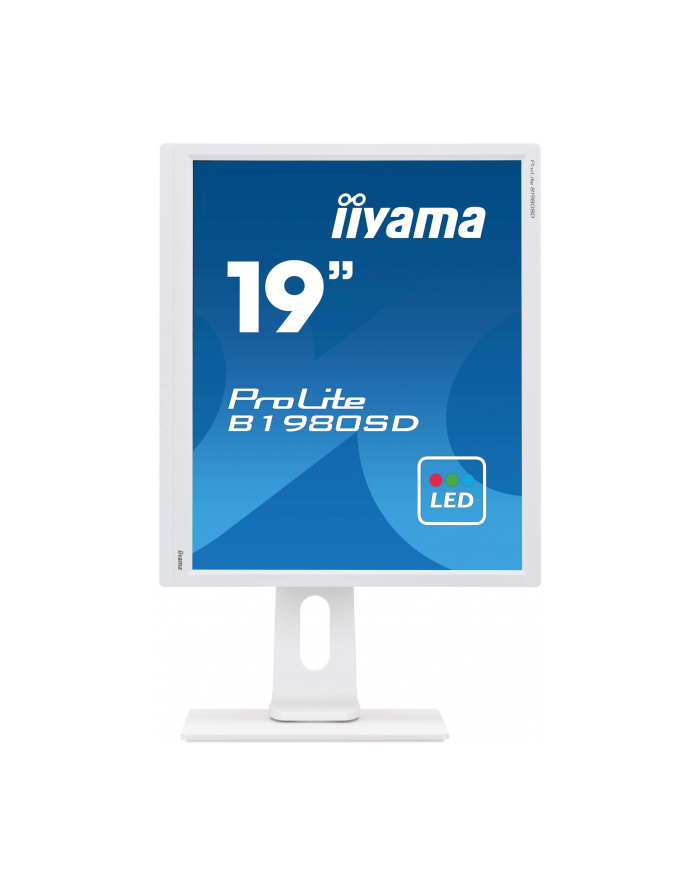 LCD LED 19'' Prolite B1980SD, wide, 5ms, DVI, głośniki, biały główny