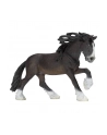SCHLEICH Ogier rasy Shire new 2013 - nr 5