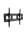 UCHWYT DO LCD/LED 32-60  ART AR-18 - nr 10