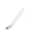 Cisco 2.4 GHz/2 dBi, 5 GHz/4 dBi Dual Band Dipole Antenna, White, RP-TNC - nr 7