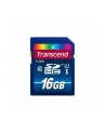 Transcend karta pamięci SDHC 16GB Class 10 UHS-I - nr 1