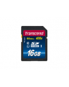 Transcend karta pamięci SDHC 16GB Class 10 UHS-I - nr 24